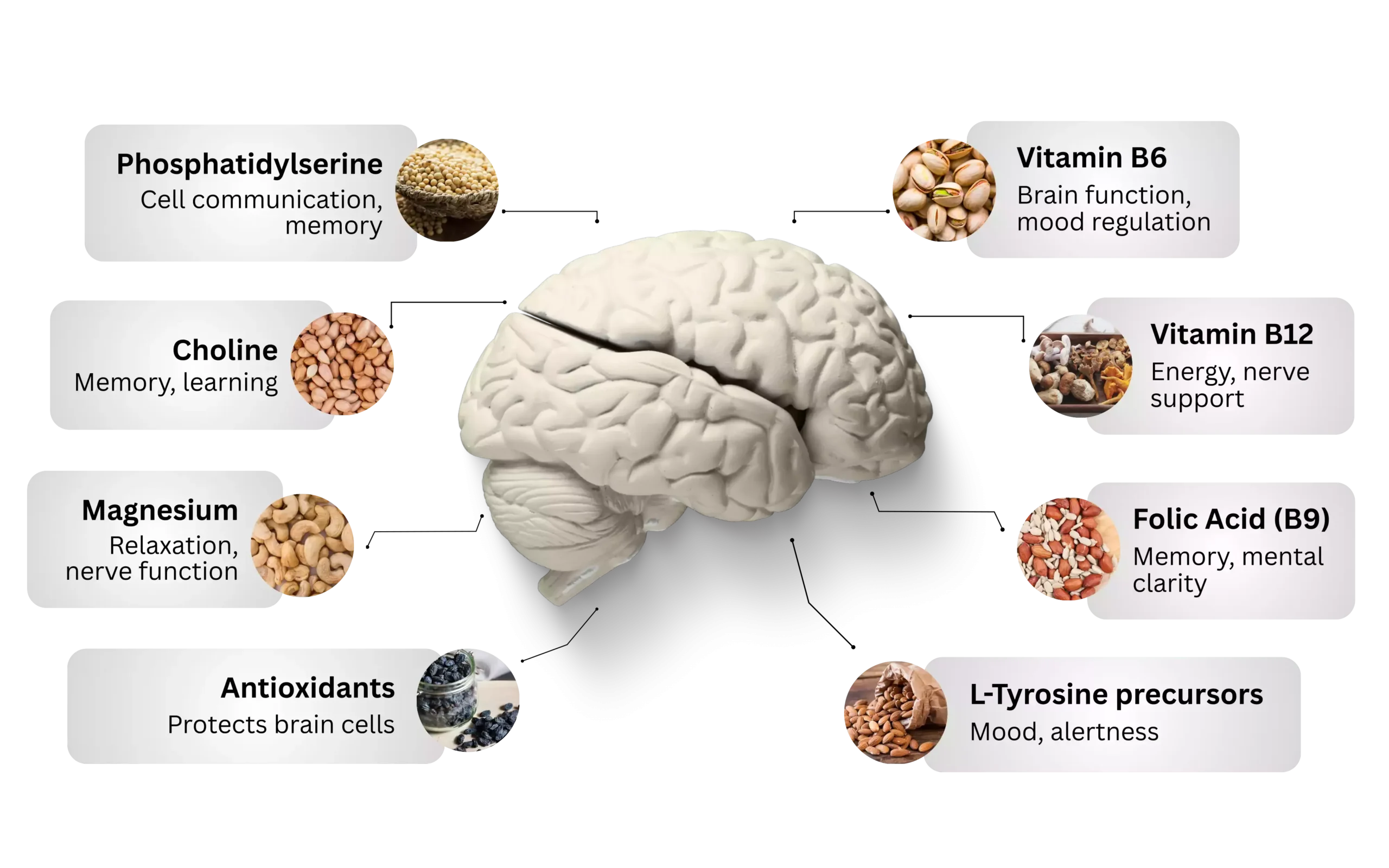 NeuroXen ingredient label